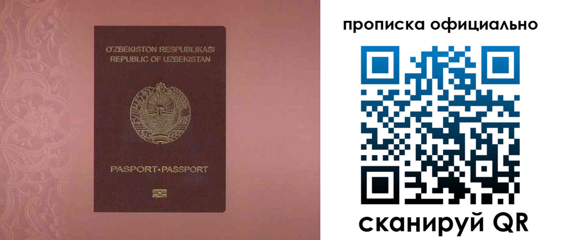 прописка гарантия в Шахунье